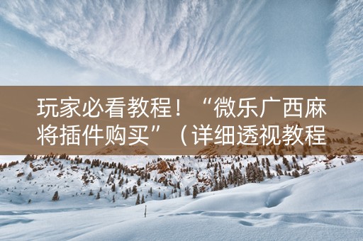 玩家必看教程！“微乐广西麻将插件购买”（详细透视教程）-哔哩哔哩
