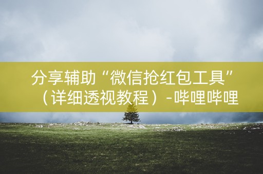 分享辅助“微信抢红包工具”（详细透视教程）-哔哩哔哩