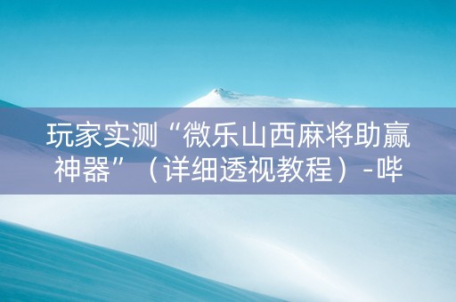 玩家实测“微乐山西麻将助赢神器”（详细透视教程）-哔哩哔哩