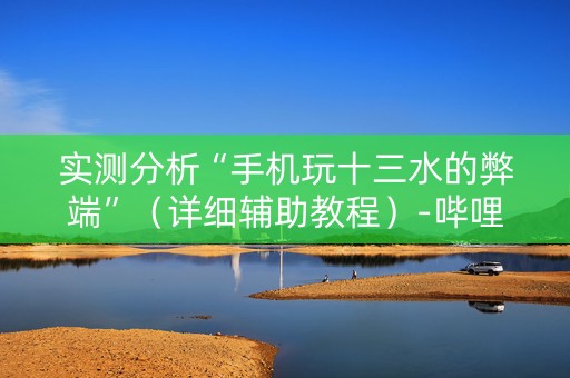 实测分析“手机玩十三水的弊端”（详细辅助教程）-哔哩哔哩