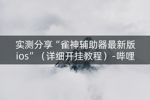 实测分享“雀神辅助器最新版ios”（详细开挂教程）-哔哩哔哩