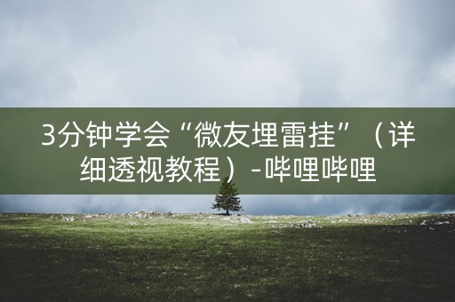 3分钟学会“微友埋雷挂”（详细透视教程）-哔哩哔哩