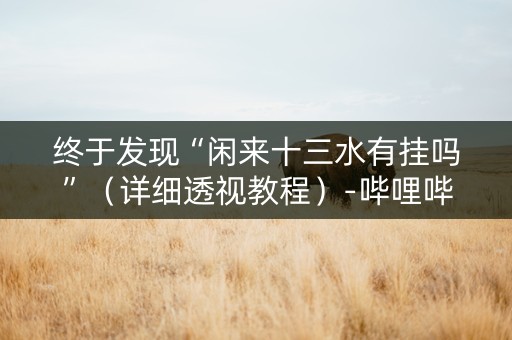 终于发现“闲来十三水有挂吗”（详细透视教程）-哔哩哔哩