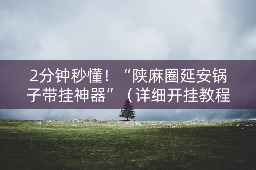 2分钟秒懂！“陕麻圈延安锅子带挂神器”（详细开挂教程）-哔哩哔哩