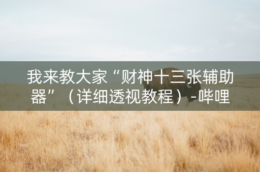我来教大家“财神十三张辅助器”（详细透视教程）-哔哩哔哩
