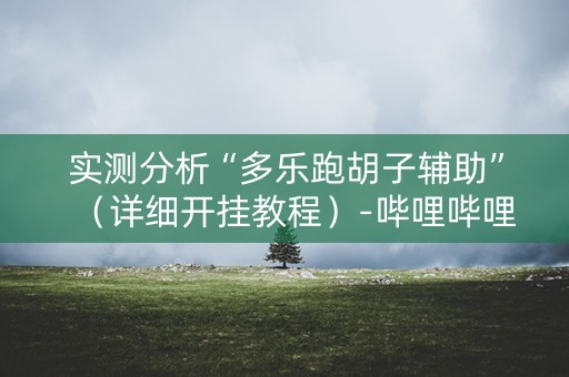 实测分析“多乐跑胡子辅助”（详细开挂教程）-哔哩哔哩
