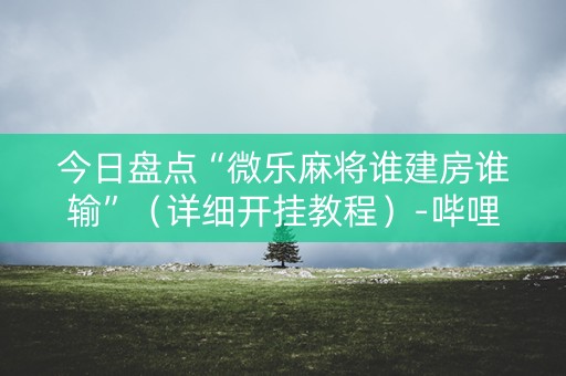 今日盘点“微乐麻将谁建房谁输”（详细开挂教程）-哔哩哔哩