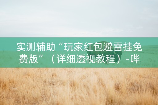 实测辅助“玩家红包避雷挂免费版”（详细透视教程）-哔哩哔哩