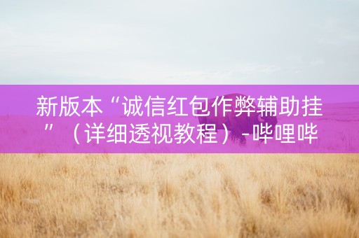 新版本“诚信红包作弊辅助挂”（详细透视教程）-哔哩哔哩