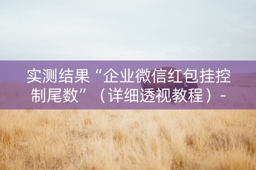 实测结果“企业微信红包挂控制尾数”（详细透视教程）-哔哩哔哩