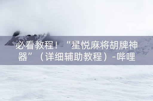 必看教程！“星悦麻将胡牌神器”（详细辅助教程）-哔哩哔哩