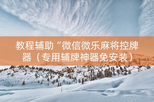 教程辅助“微信微乐麻将控牌器（专用辅牌神器免安装）
