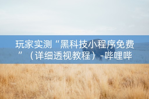 玩家实测“黑科技小程序免费”（详细透视教程）-哔哩哔哩