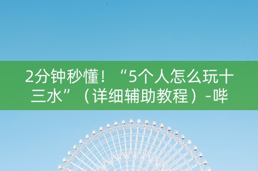 2分钟秒懂！“5个人怎么玩十三水”（详细辅助教程）-哔哩哔哩
