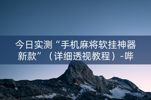 今日实测“手机麻将软挂神器新款”（详细透视教程）-哔哩哔哩