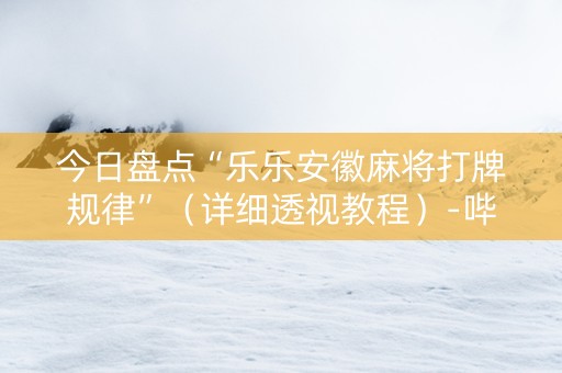 今日盘点“乐乐安徽麻将打牌规律”（详细透视教程）-哔哩哔哩