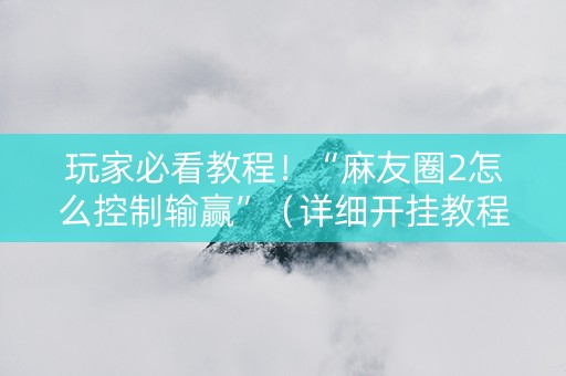玩家必看教程！“麻友圈2怎么控制输赢”（详细开挂教程）-哔哩哔哩