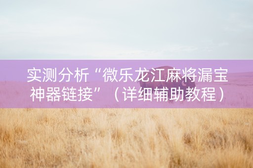 实测分析“微乐龙江麻将漏宝神器链接”（详细辅助教程）-哔哩哔哩