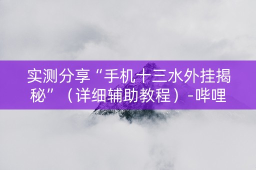 实测分享“手机十三水外挂揭秘”（详细辅助教程）-哔哩哔哩