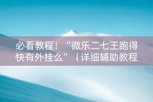 必看教程！“微乐二七王跑得快有外挂么”（详细辅助教程）-哔哩哔哩