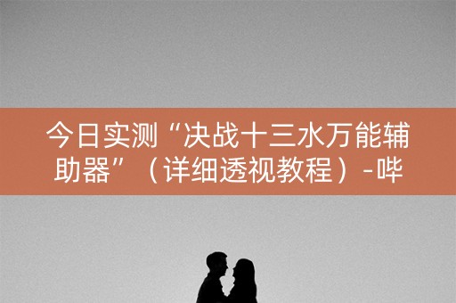 今日实测“决战十三水万能辅助器”（详细透视教程）-哔哩哔哩