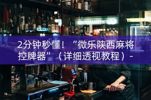 2分钟秒懂！“微乐陕西麻将控牌器”（详细透视教程）-哔哩哔哩