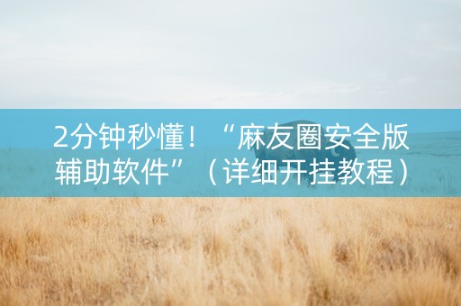 2分钟秒懂！“麻友圈安全版辅助软件”（详细开挂教程）-哔哩哔哩