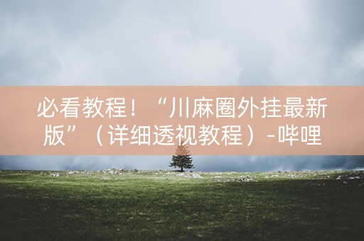 必看教程！“川麻圈外挂最新版”（详细透视教程）-哔哩哔哩
