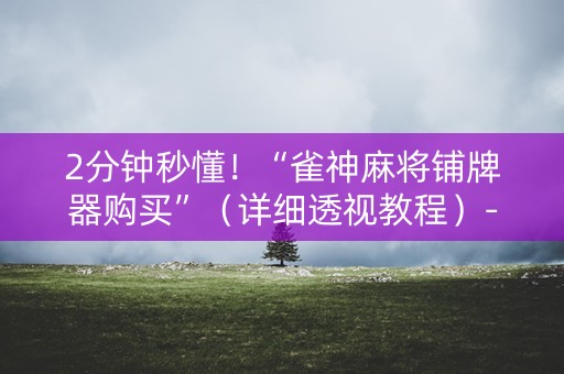 2分钟秒懂！“雀神麻将铺牌器购买”（详细透视教程）-哔哩哔哩