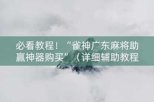 必看教程！“雀神广东麻将助赢神器购买”（详细辅助教程）-哔哩哔哩