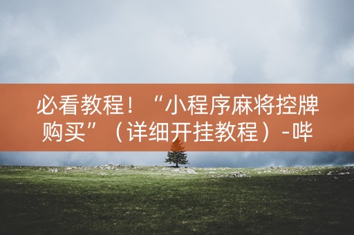 必看教程！“小程序麻将控牌购买”（详细开挂教程）-哔哩哔哩