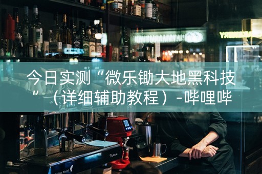 今日实测“微乐锄大地黑科技”（详细辅助教程）-哔哩哔哩