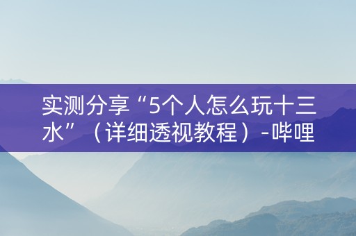 实测分享“5个人怎么玩十三水”（详细透视教程）-哔哩哔哩