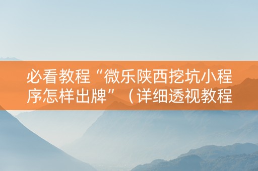 必看教程“微乐陕西挖坑小程序怎样出牌”（详细透视教程）-哔哩哔哩