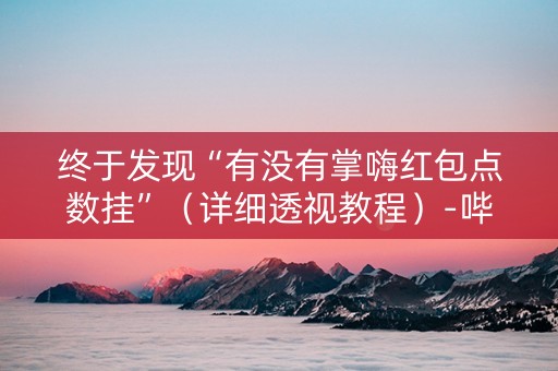 终于发现“有没有掌嗨红包点数挂”（详细透视教程）-哔哩哔哩
