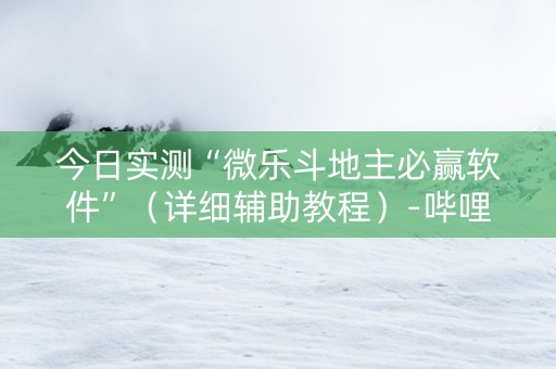 今日实测“微乐斗地主必赢软件”（详细辅助教程）-哔哩哔哩