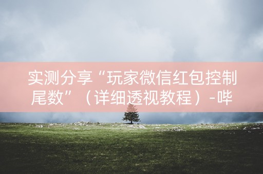 实测分享“玩家微信红包控制尾数”（详细透视教程）-哔哩哔哩