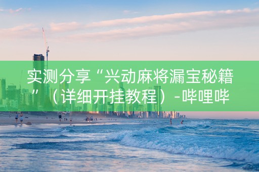 实测分享“兴动麻将漏宝秘籍”（详细开挂教程）-哔哩哔哩