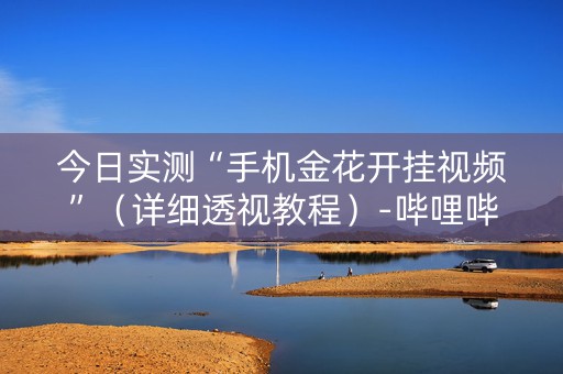 今日实测“手机金花开挂视频”（详细透视教程）-哔哩哔哩