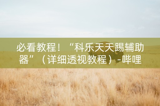必看教程！“科乐天天踢辅助器”（详细透视教程）-哔哩哔哩