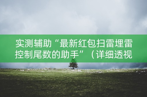 实测辅助“最新红包扫雷埋雷控制尾数的助手”（详细透视教程）-哔哩哔哩