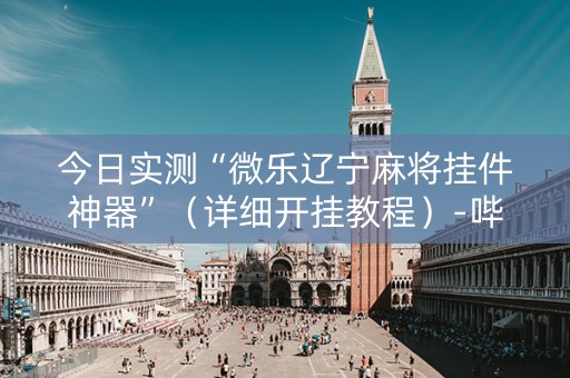 今日实测“微乐辽宁麻将挂件神器”（详细开挂教程）-哔哩哔哩