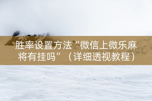 胜率设置方法“微信上微乐麻将有挂吗”（详细透视教程）-哔哩哔哩