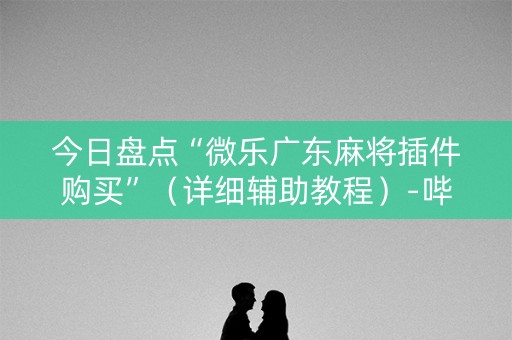 今日盘点“微乐广东麻将插件购买”（详细辅助教程）-哔哩哔哩