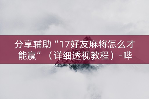 分享辅助“17好友麻将怎么才能赢”（详细透视教程）-哔哩哔哩