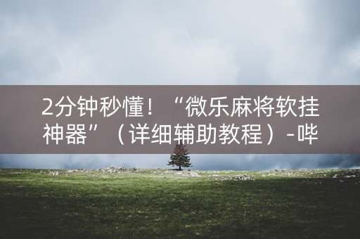 2分钟秒懂！“微乐麻将软挂神器”（详细辅助教程）-哔哩哔哩
