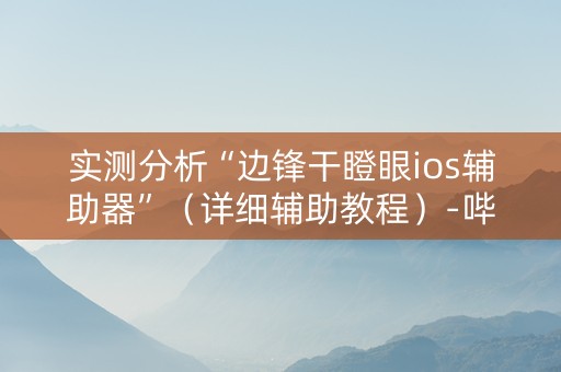 实测分析“边锋干瞪眼ios辅助器”（详细辅助教程）-哔哩哔哩