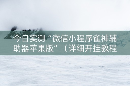 今日实测“微信小程序雀神辅助器苹果版”（详细开挂教程）-哔哩哔哩