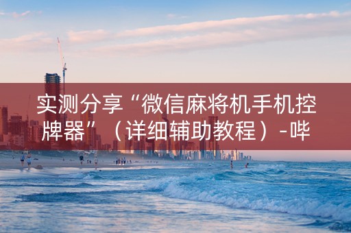 实测分享“微信麻将机手机控牌器”（详细辅助教程）-哔哩哔哩