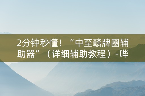 2分钟秒懂！“中至赣牌圈辅助器”（详细辅助教程）-哔哩哔哩